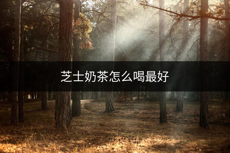 芝士奶茶怎么喝最好