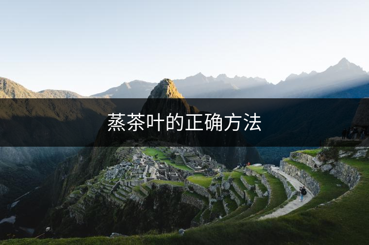 蒸茶葉的正確方法