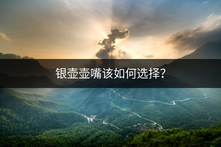 銀壺壺嘴該如何選擇？