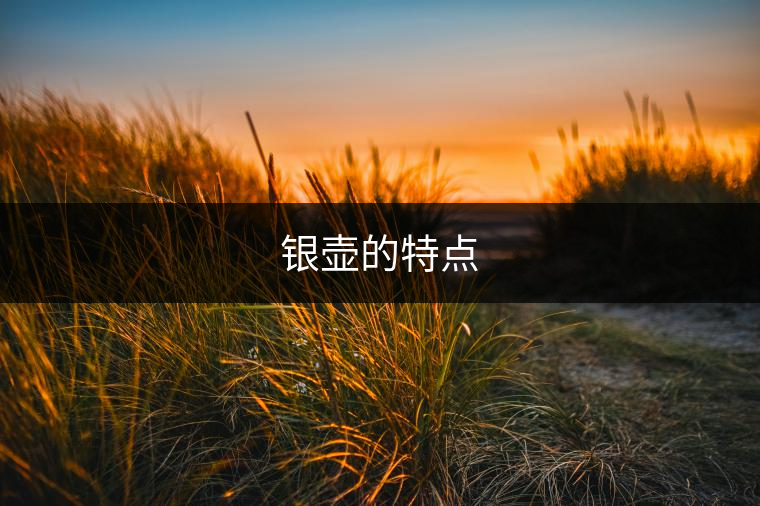 銀壺的特點(diǎn)