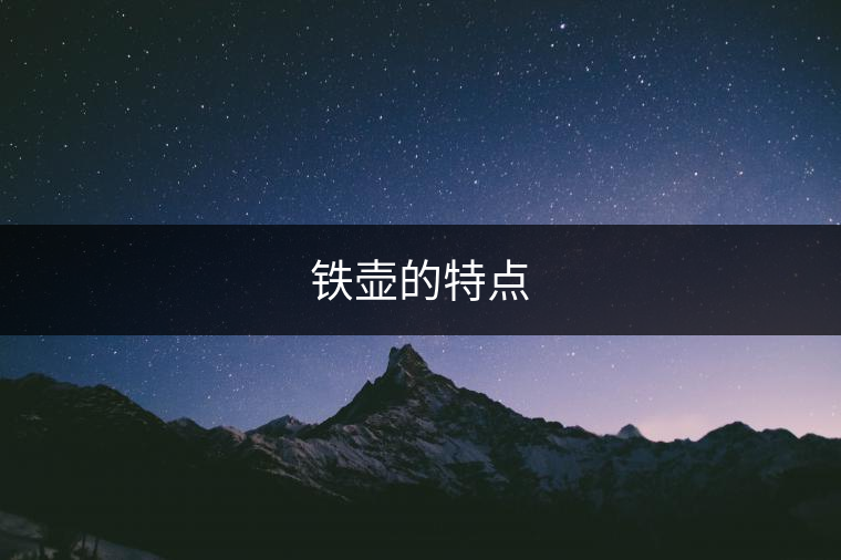 鐵壺的特點(diǎn)