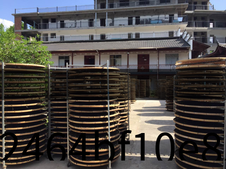 02464bf10e834d54867e28aaf9090c53