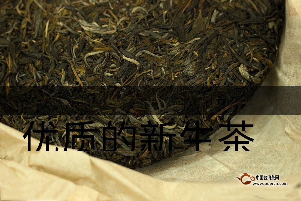 優(yōu)質(zhì)的新生茶是什么樣的？