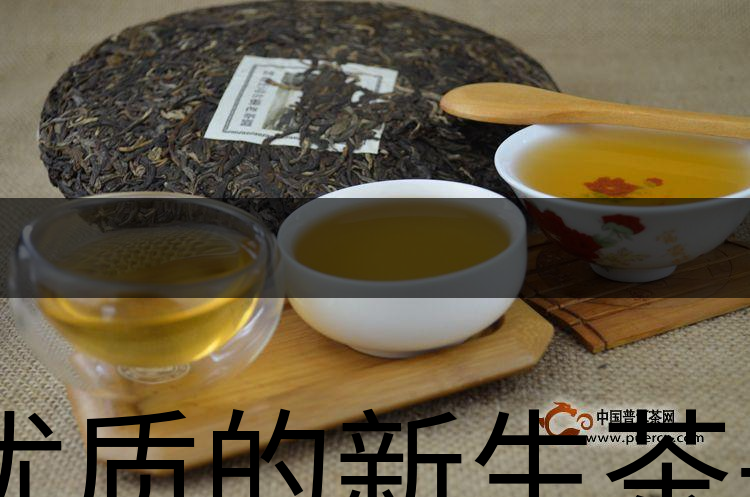 優(yōu)質(zhì)的新生茶是什么樣的？-1