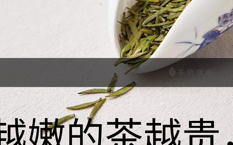 越嫩的茶越貴，但越貴的茶就越好嗎？-1