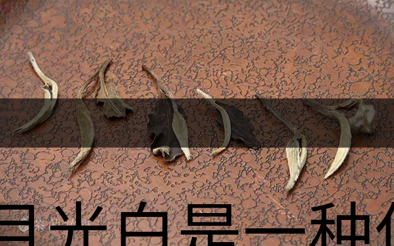月光白是一種什么茶？-1