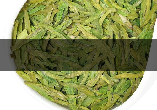 龍井茶什么時(shí)候上市-怎么采摘好