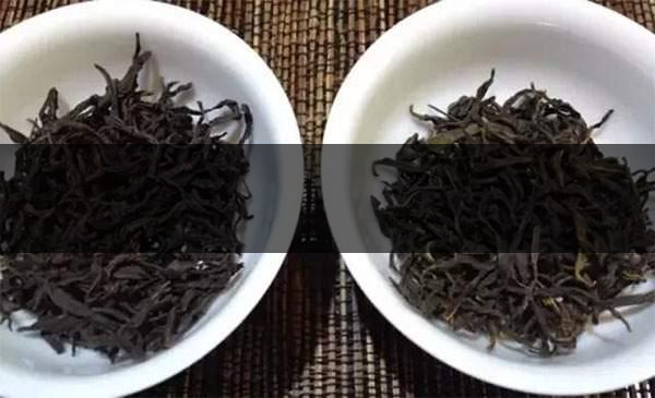 4招讓你變資深辨茶高手！