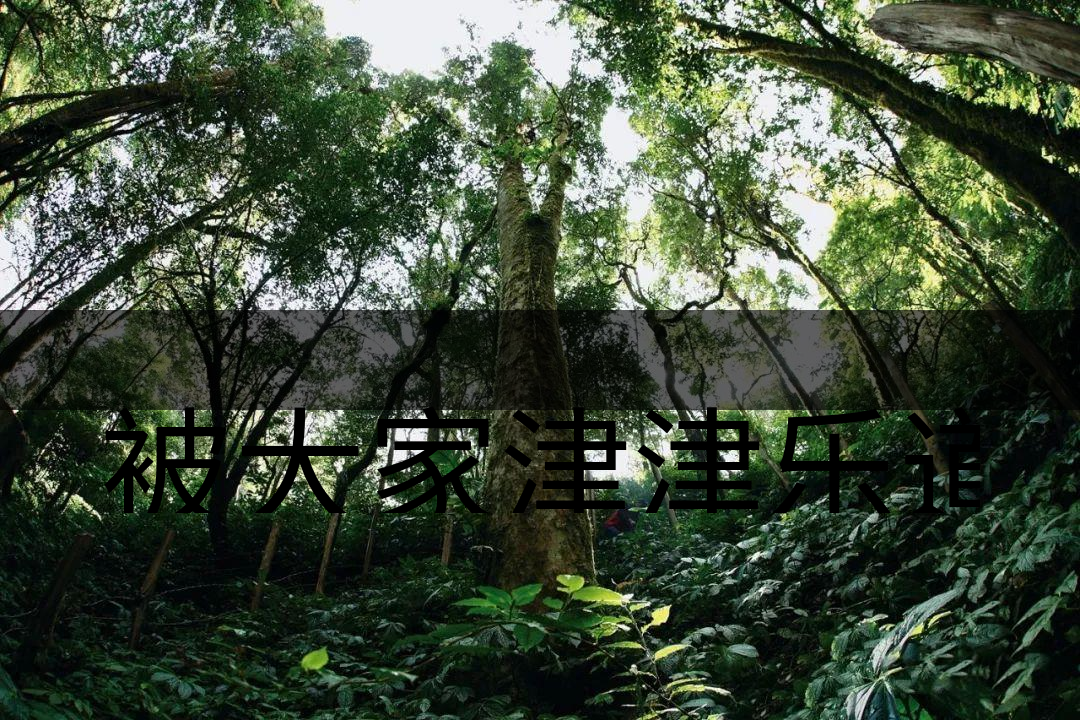 被大家津津樂(lè)道的森林茶，你知道是什么？-6-1