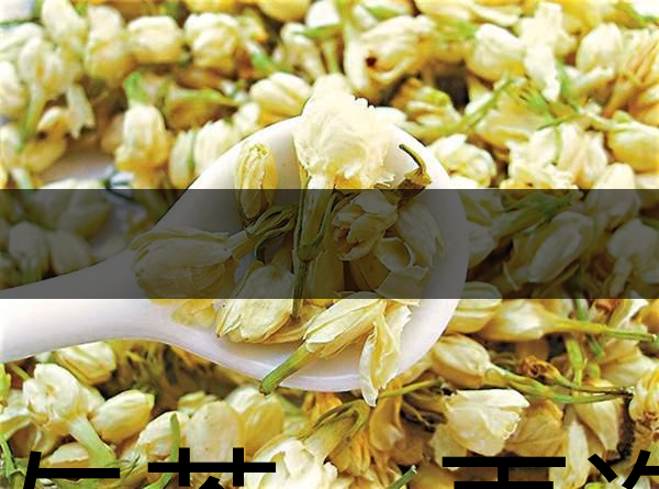 花與茶，再造茉莉之都——福州-1