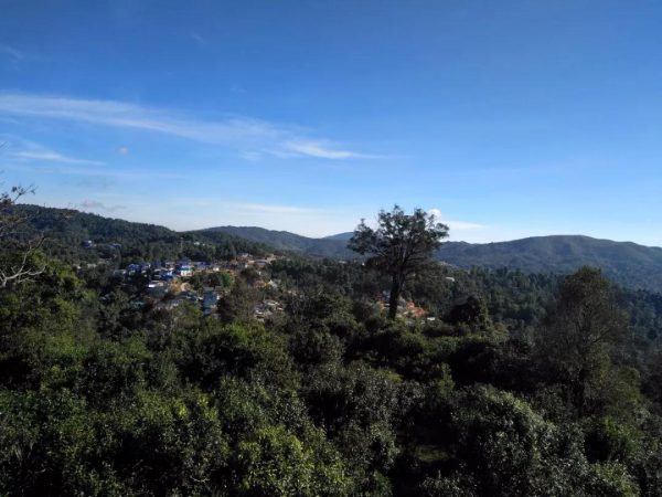 蘭香賀開，甘甜賀開