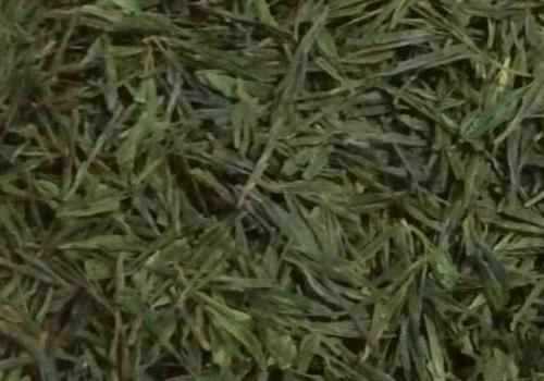 什么是海青茶？沖泡手法詳細(xì)教學(xué)！