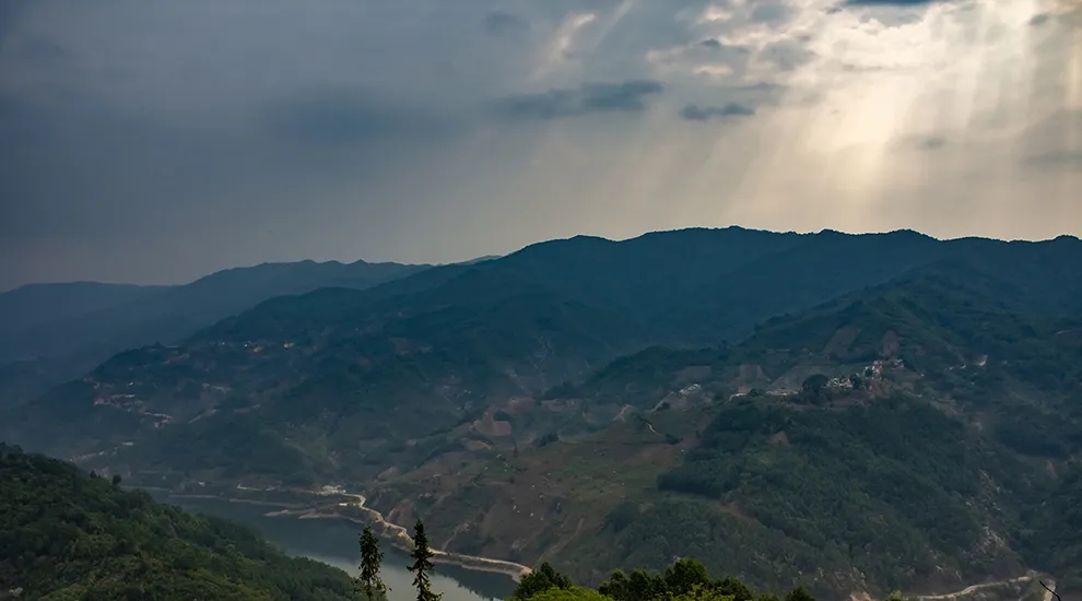 2021年磨烈：風(fēng)頭正勁的后起之秀，到底有何特點(diǎn)？