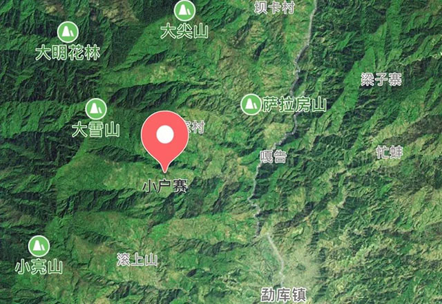 2021年小戶賽古樹秋茶有什么特點(diǎn)？