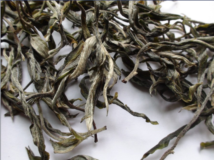 2021年馬鞍山古樹秋茶價格？