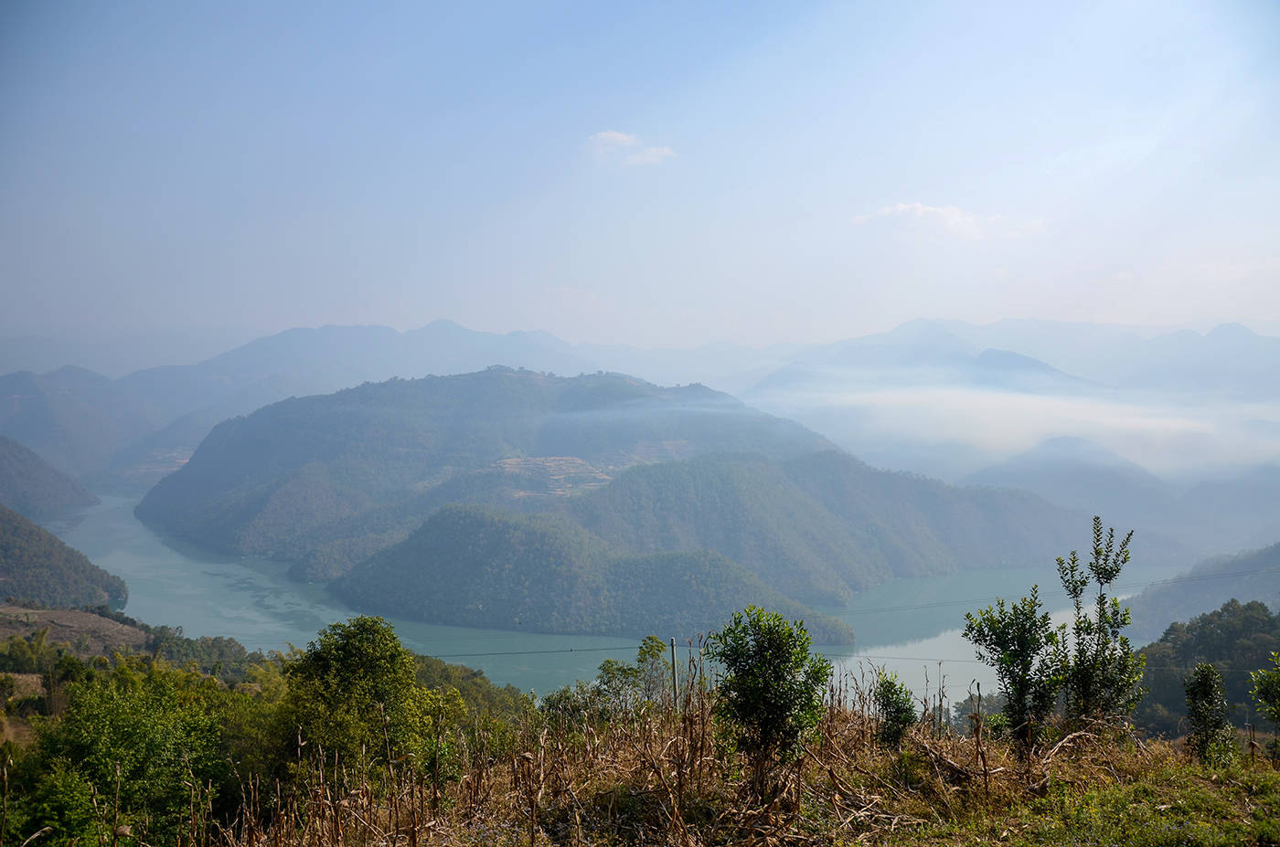 2021年白鶯山古樹秋茶，佛茶有什么魅力？