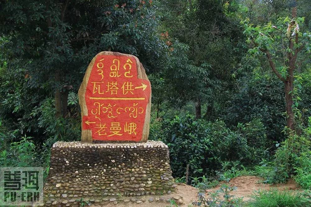 2021年老曼峨古樹秋茶價(jià)格多少？