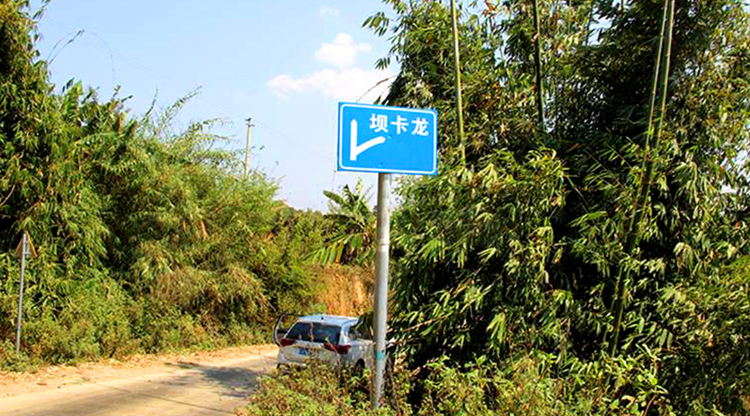 2021班章茶區(qū)壩卡竜古樹秋茶特點(diǎn)！