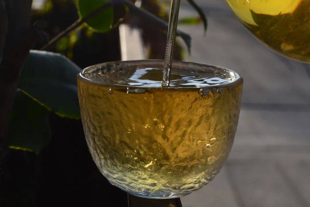 2021班章茶區(qū)壩卡竜古樹(shù)秋茶口感是什么？