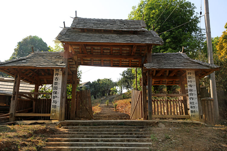 2021年賀開古樹秋茶特點(diǎn)？