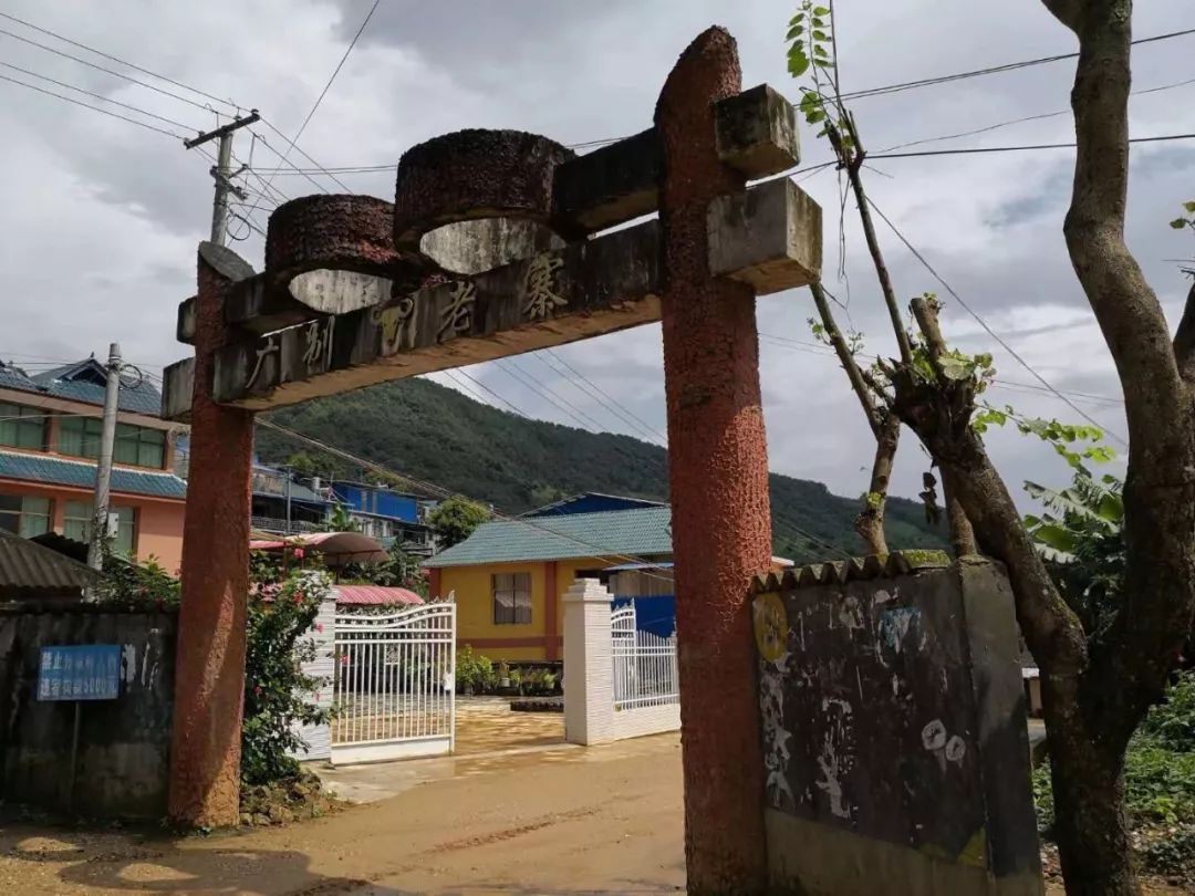 2021年廣別老寨古樹秋茶多少錢一公斤？