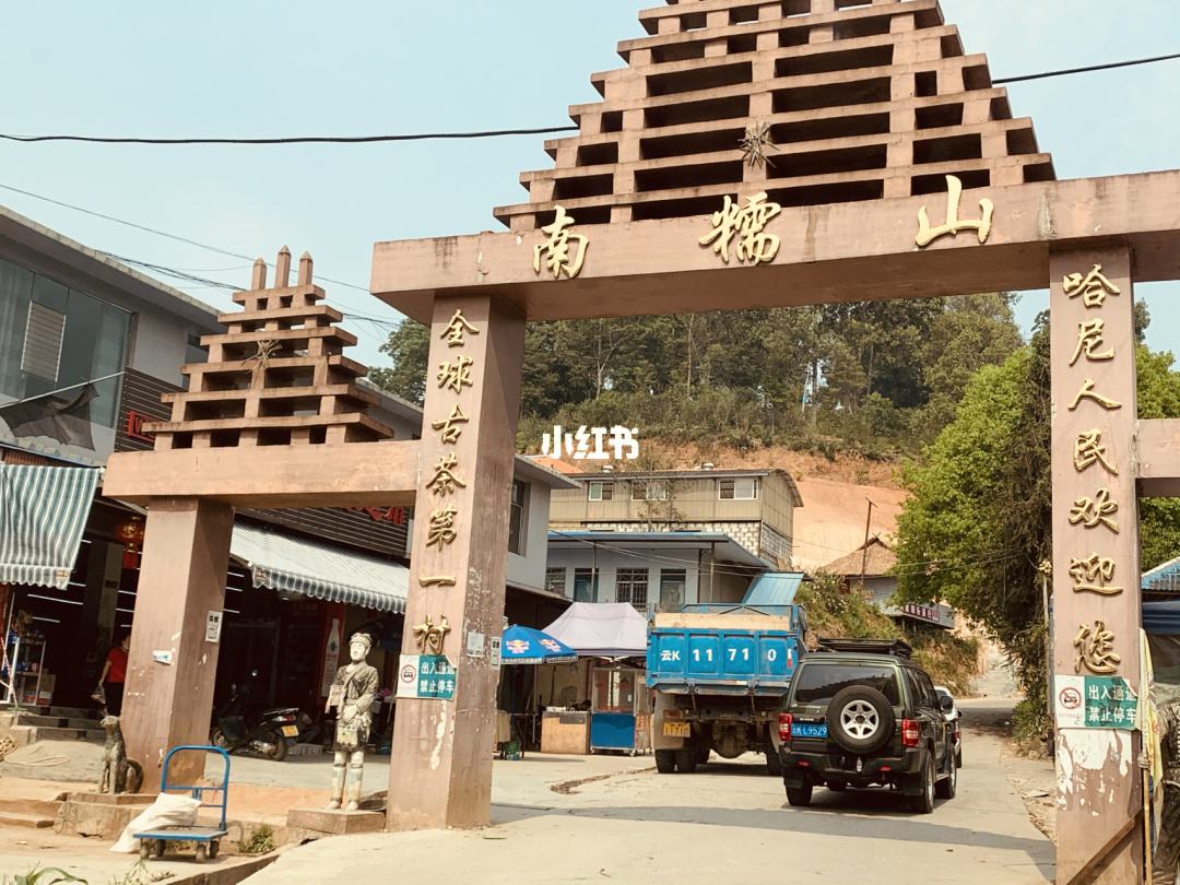 2021年南糯山半坡老寨古樹(shù)秋茶多少錢(qián)一公斤？