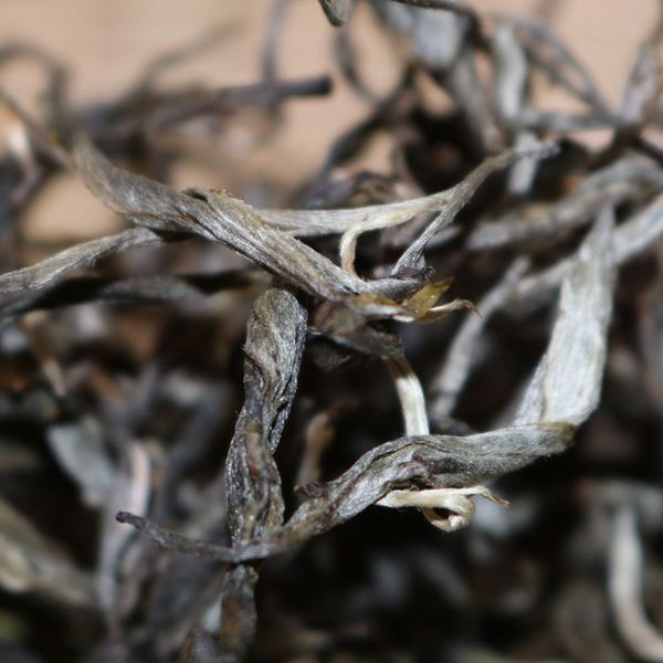 2021年帕沙古樹(shù)秋茶，你了解多少？