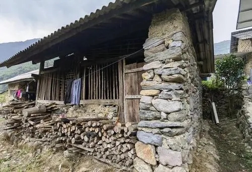 2022年景谷黃草壩古樹春茶特點(diǎn)是什么？