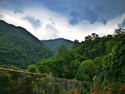 2022年景東御筆古樹(shù)春茶價(jià)格多少？