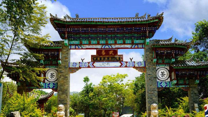 2022年易武正山在哪？易武正山是什么意思？