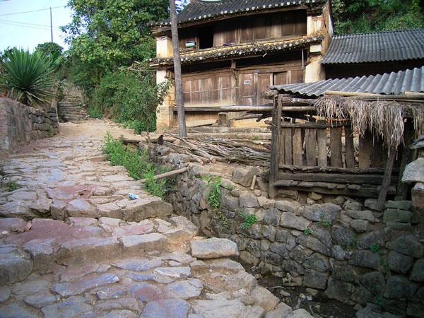 2022年蠻磚古樹(shù)春茶特點(diǎn)？