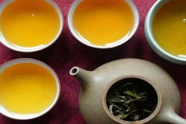 2022年普洱茶怎么泡法才正確？