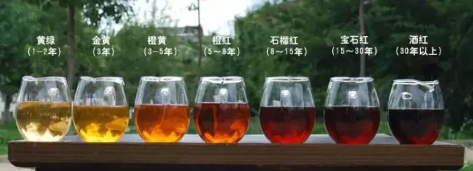 2022年普洱茶的茶湯湯色要怎么描述？