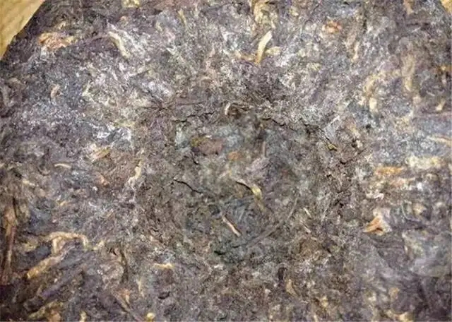 2022年普洱茶受潮發(fā)霉了怎么辦？