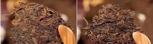 怎么喝完普洱茶口特別干？