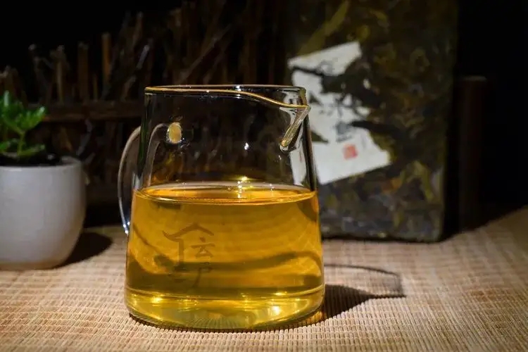 有茶油的普洱茶正常嗎？茶油是如何形成的？