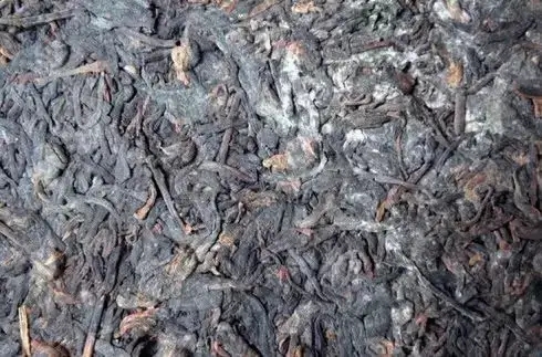 普洱茶泡了之后有霉味怎么辦？