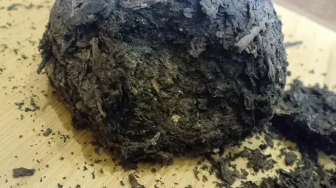 普洱茶蟲子怎么辦？