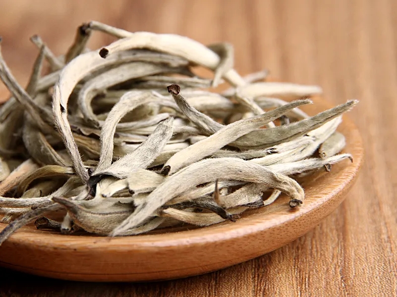 福鼎白茶、安吉白茶、云南月光白“三白”的區(qū)別