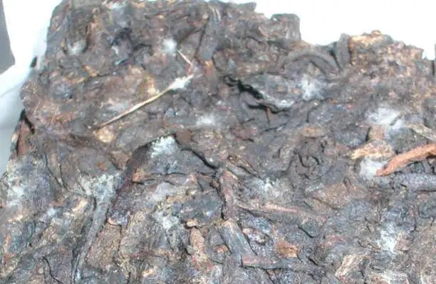 ?普洱茶發(fā)霉了怎么辦？教你妙招應對發(fā)霉的普洱茶！