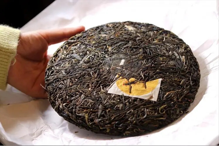 犀牛塘 | 古韻留香，帕沙之王