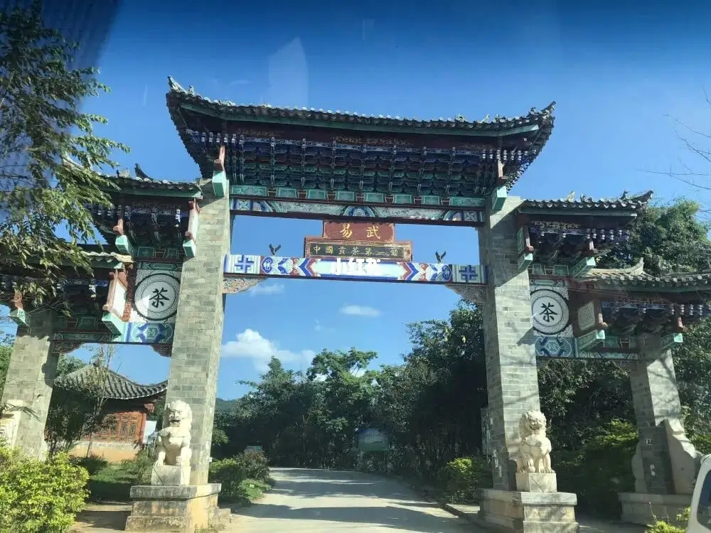 古樹茶年份越老，茶葉就越好嗎？影響茶葉品質(zhì)的因素有哪些？