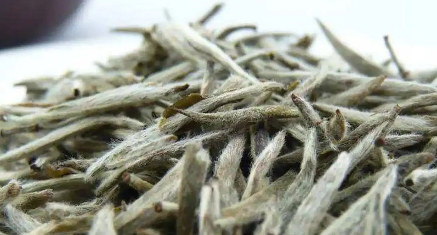 茶毫越多的茶，品質(zhì)就越高嗎？