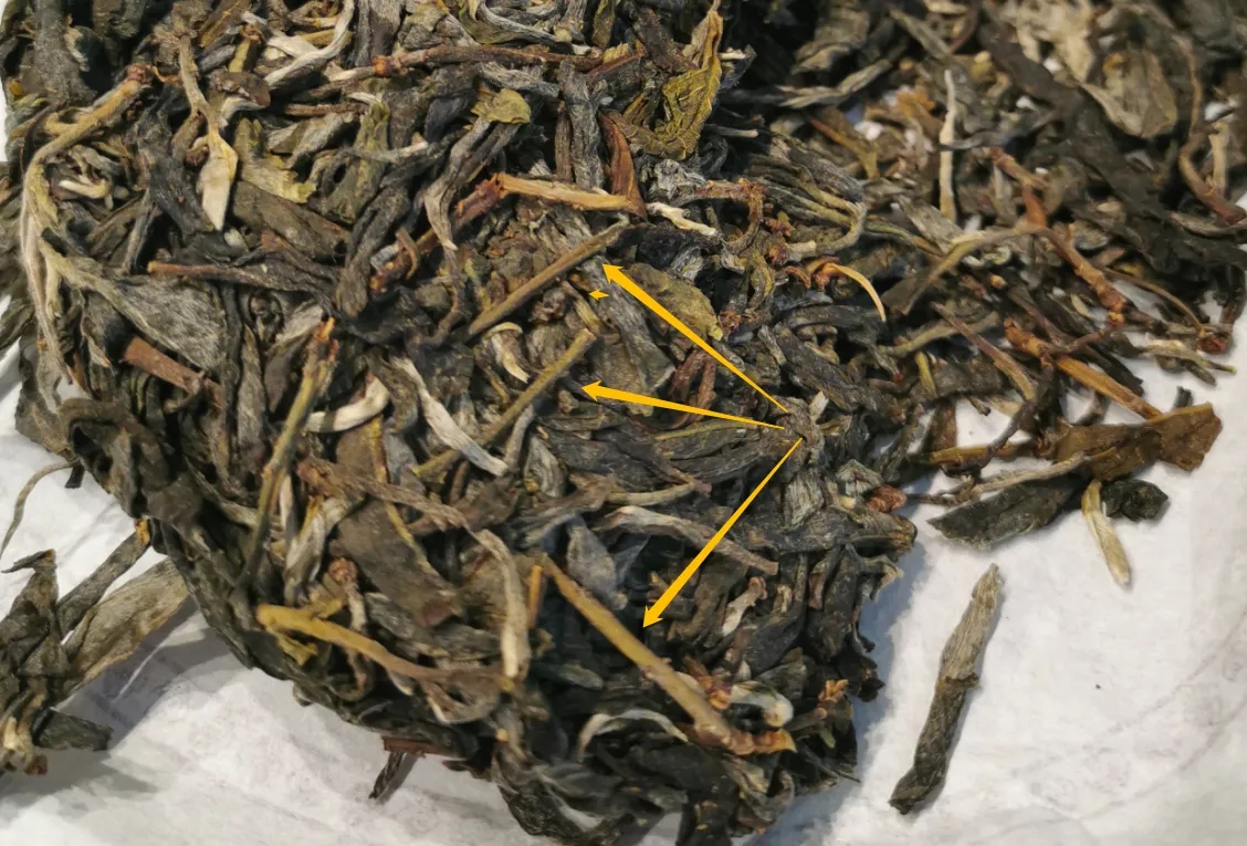 普洱茶的葉底有茶梗，就是茶不好嗎？