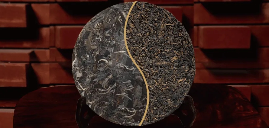 一入普門深似海？入普洱門前，你需要了解這些