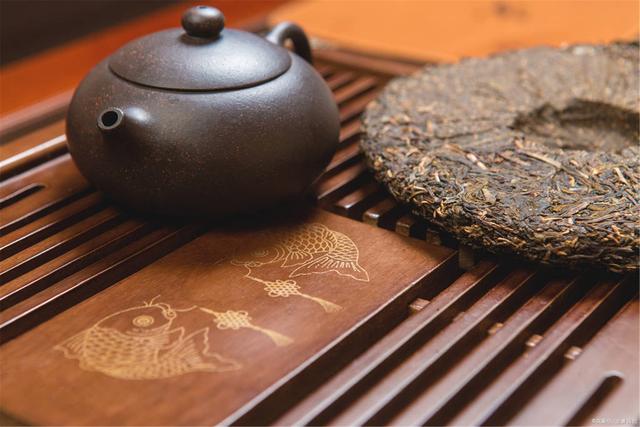 為什么你買不到好的古樹普洱茶？買茶防坑指南，看完就有收獲！