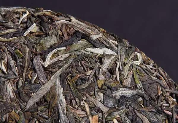 普洱茶屬于什么茶？普洱茶為什么會越陳越香？