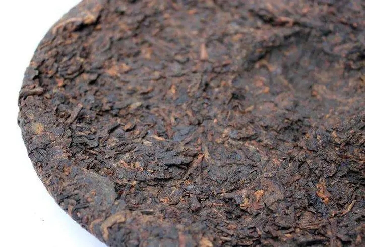 普洱熟茶的「生物大爆發(fā)」