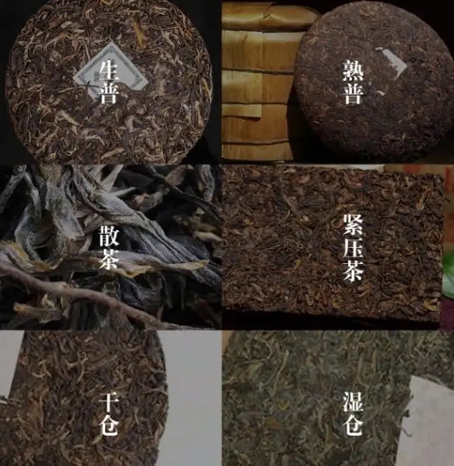 普洱茶不是越陳越香嗎？怎么也有最佳品飲期？