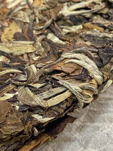 2023年拔瑪老寨古樹春茶特點(diǎn)是什么？